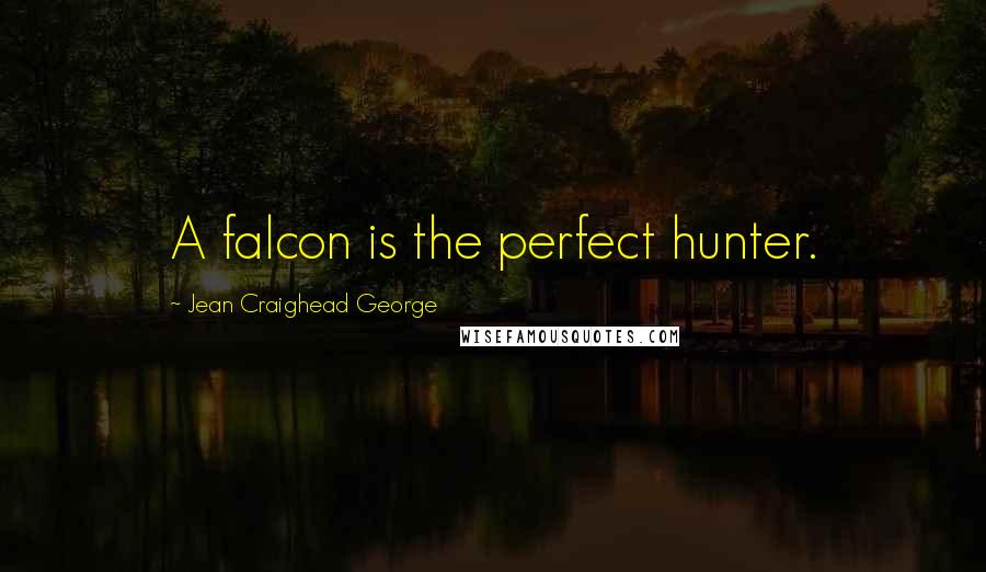 Jean Craighead George Quotes: A falcon is the perfect hunter.