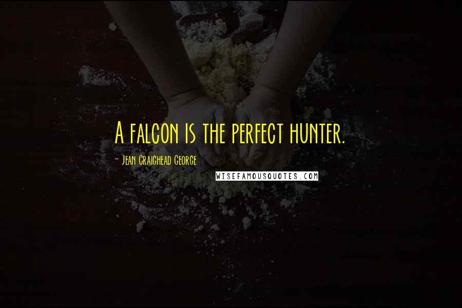 Jean Craighead George Quotes: A falcon is the perfect hunter.