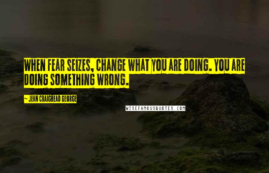 Jean Craighead George Quotes: When fear seizes, change what you are doing. You are doing something wrong.