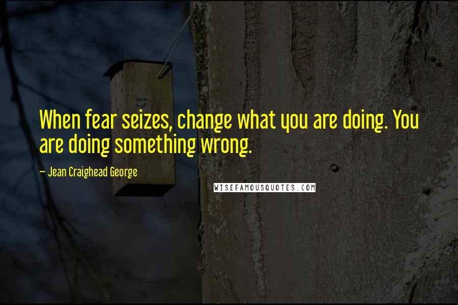 Jean Craighead George Quotes: When fear seizes, change what you are doing. You are doing something wrong.