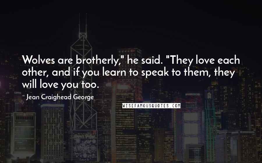 Jean Craighead George Quotes: Wolves are brotherly," he said. "They love each other, and if you learn to speak to them, they will love you too.