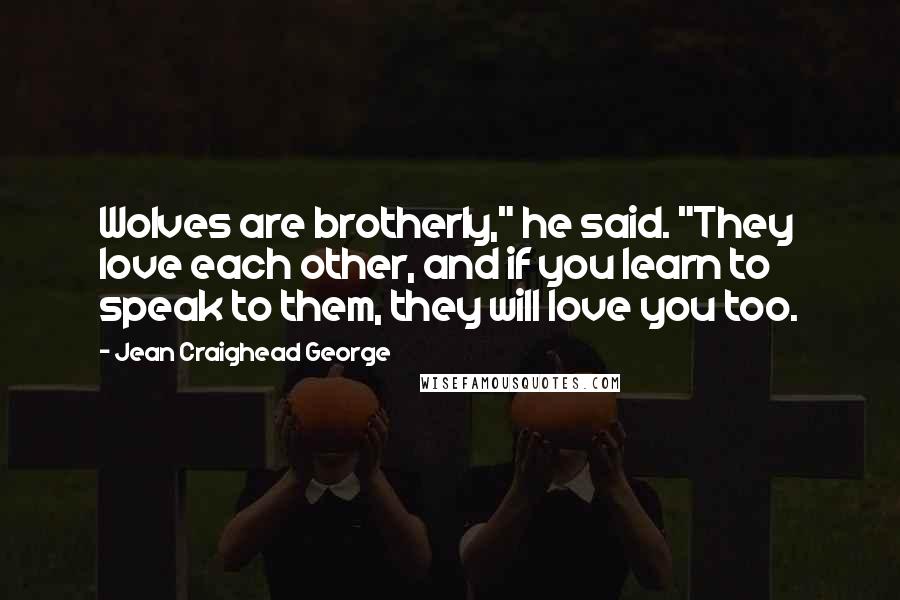 Jean Craighead George Quotes: Wolves are brotherly," he said. "They love each other, and if you learn to speak to them, they will love you too.
