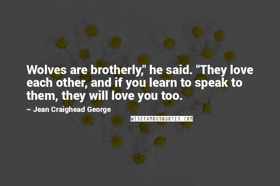 Jean Craighead George Quotes: Wolves are brotherly," he said. "They love each other, and if you learn to speak to them, they will love you too.