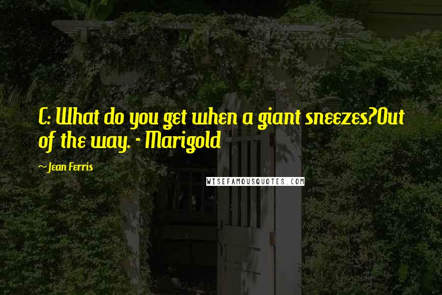 Jean Ferris Quotes: C: What do you get when a giant sneezes?Out of the way. - Marigold