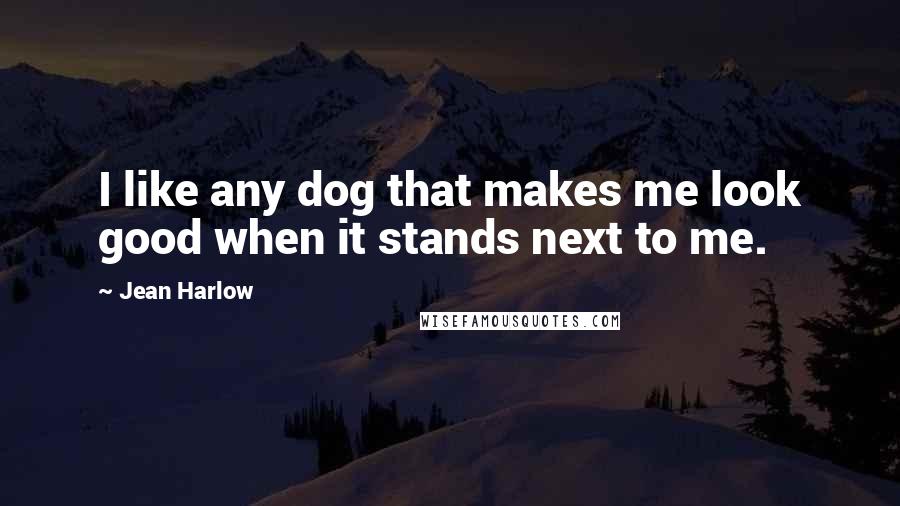 Jean Harlow Quotes: I like any dog that makes me look good when it stands next to me.