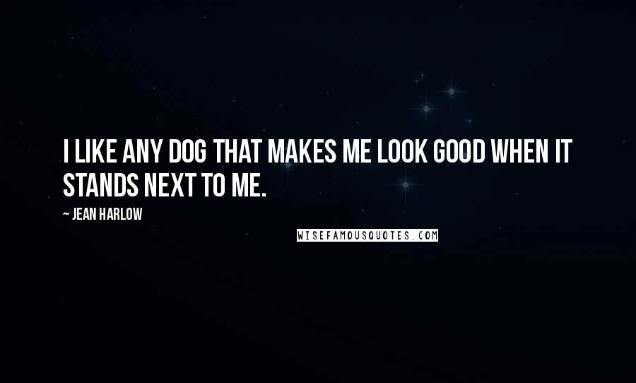 Jean Harlow Quotes: I like any dog that makes me look good when it stands next to me.