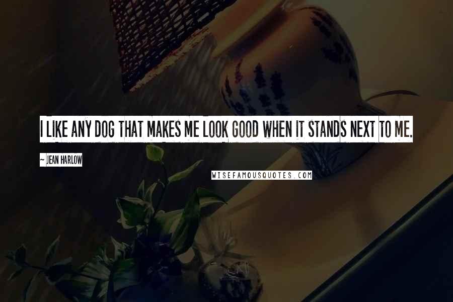Jean Harlow Quotes: I like any dog that makes me look good when it stands next to me.