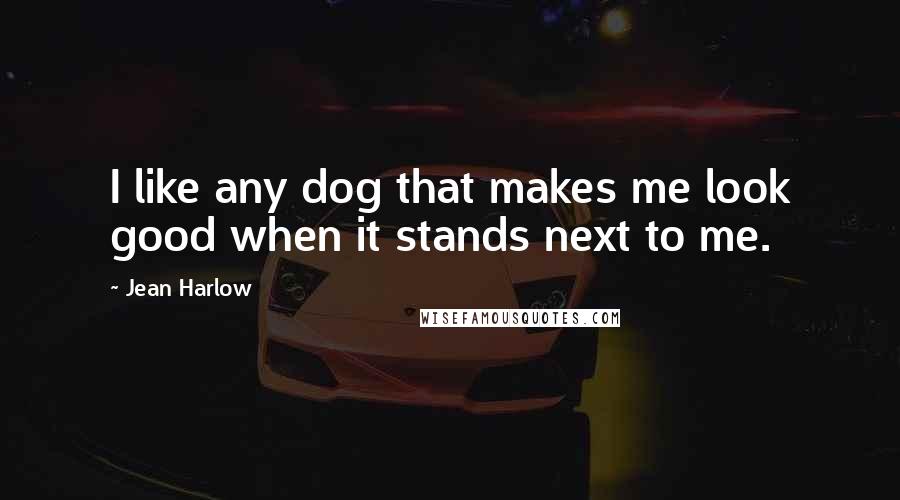 Jean Harlow Quotes: I like any dog that makes me look good when it stands next to me.