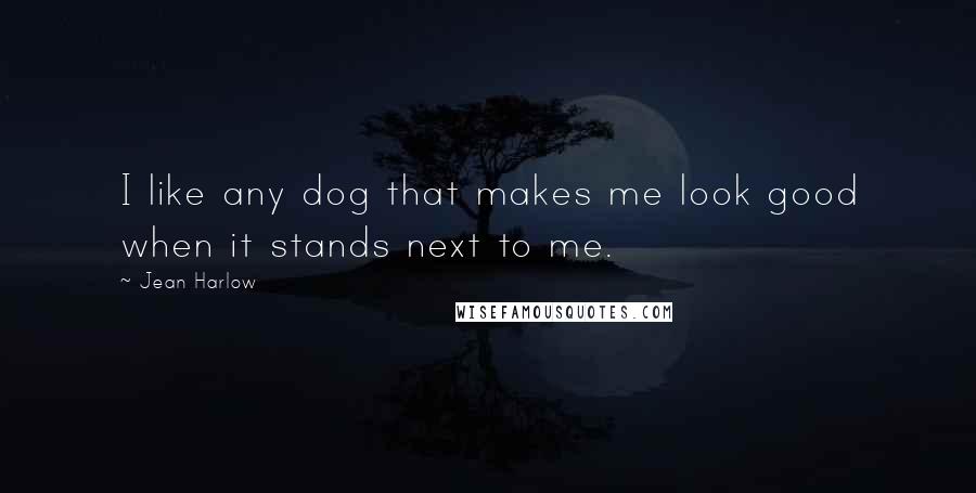 Jean Harlow Quotes: I like any dog that makes me look good when it stands next to me.