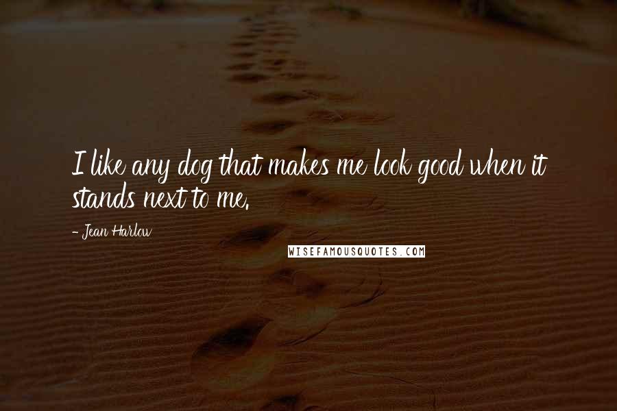 Jean Harlow Quotes: I like any dog that makes me look good when it stands next to me.