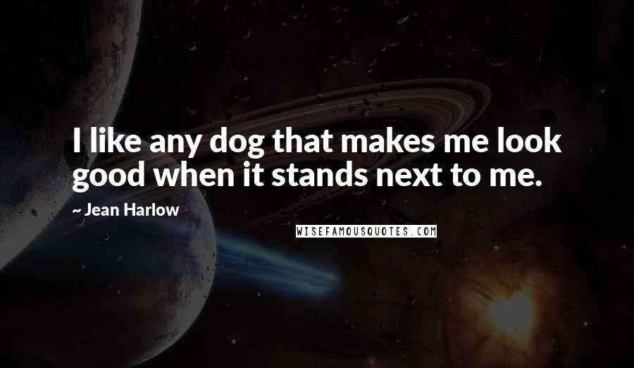 Jean Harlow Quotes: I like any dog that makes me look good when it stands next to me.