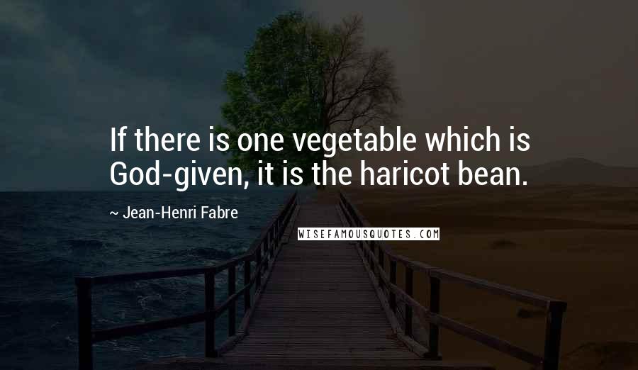Jean-Henri Fabre Quotes: If there is one vegetable which is God-given, it is the haricot bean.