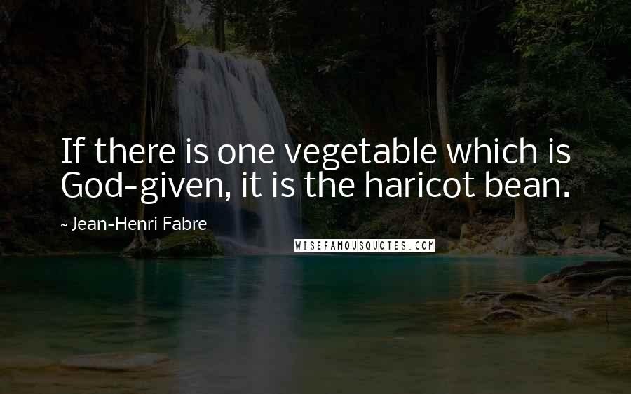 Jean-Henri Fabre Quotes: If there is one vegetable which is God-given, it is the haricot bean.