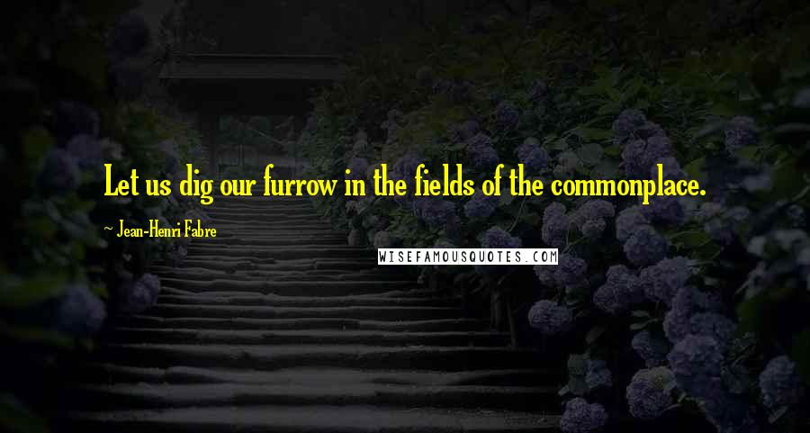 Jean-Henri Fabre Quotes: Let us dig our furrow in the fields of the commonplace.