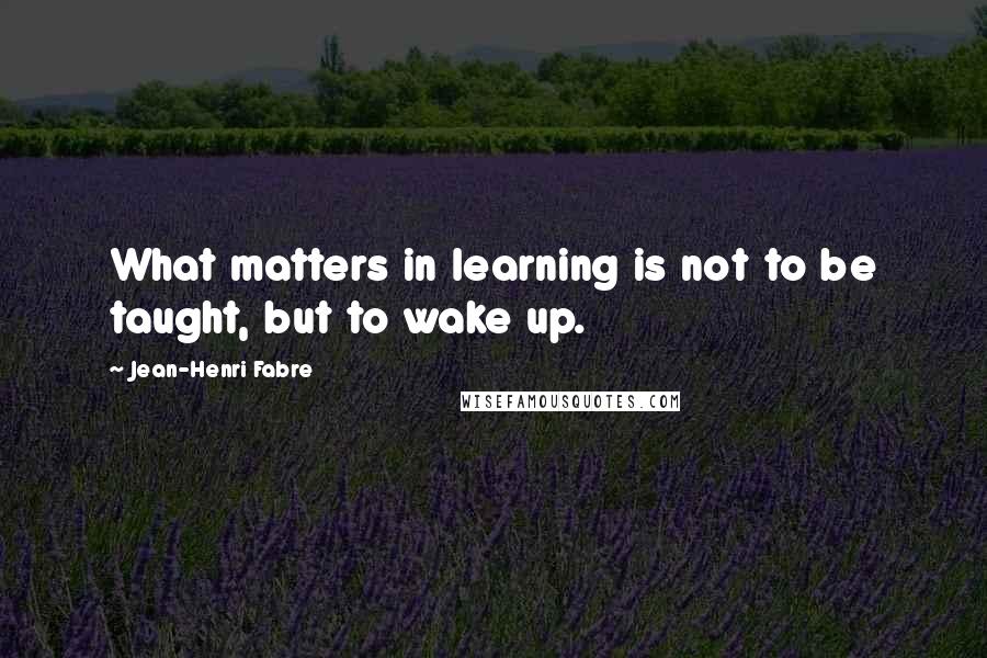 Jean-Henri Fabre Quotes: What matters in learning is not to be taught, but to wake up.