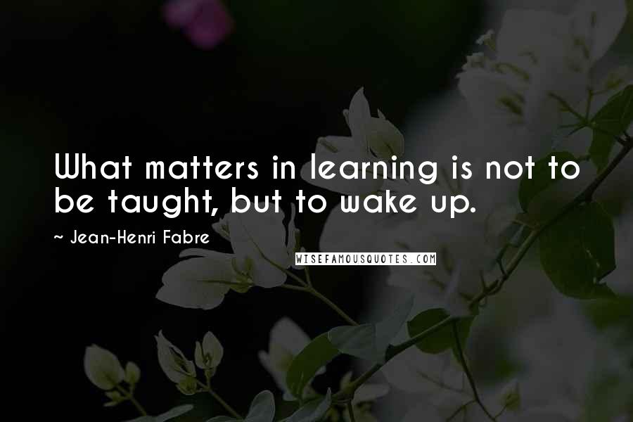 Jean-Henri Fabre Quotes: What matters in learning is not to be taught, but to wake up.