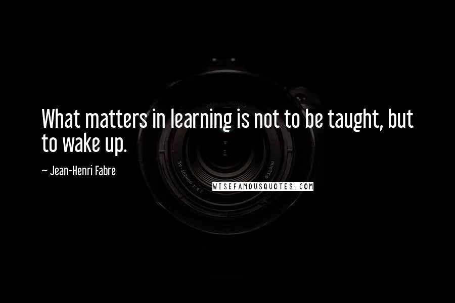 Jean-Henri Fabre Quotes: What matters in learning is not to be taught, but to wake up.