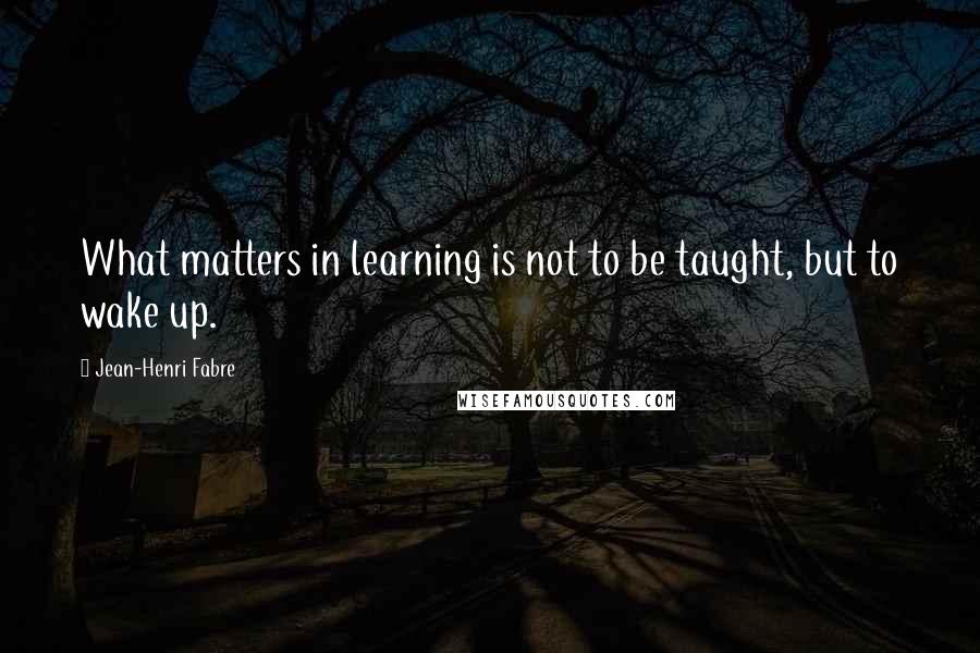Jean-Henri Fabre Quotes: What matters in learning is not to be taught, but to wake up.
