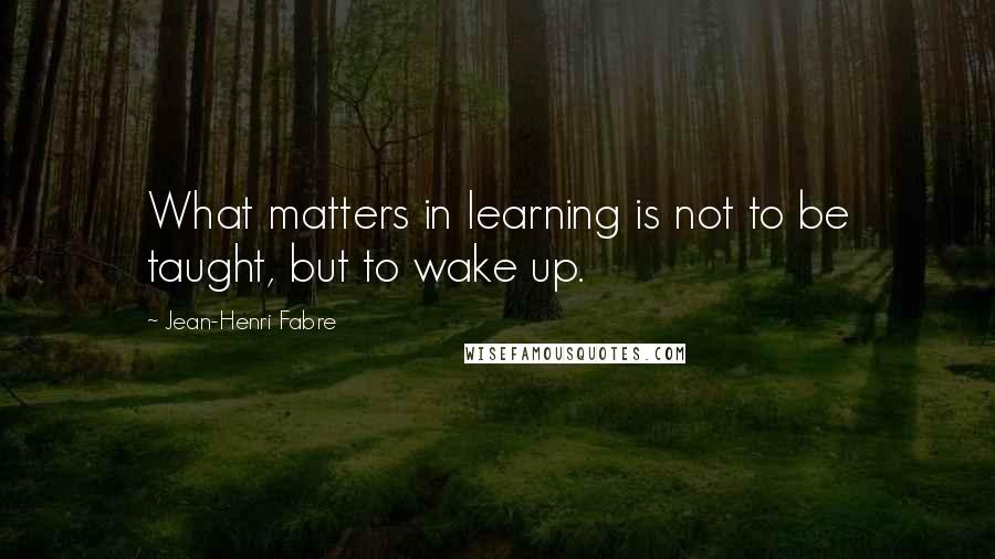 Jean-Henri Fabre Quotes: What matters in learning is not to be taught, but to wake up.