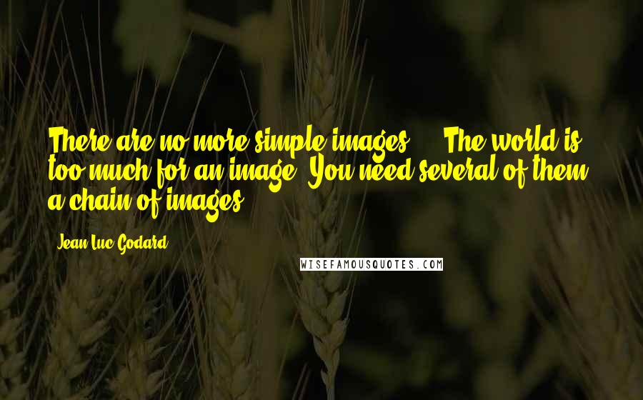 Jean-Luc Godard Quotes: There are no more simple images ... The world is too much for an image. You need several of them, a chain of images ...