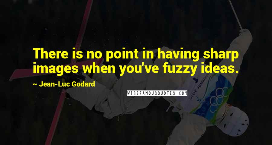 Jean-Luc Godard Quotes: There is no point in having sharp images when you've fuzzy ideas.