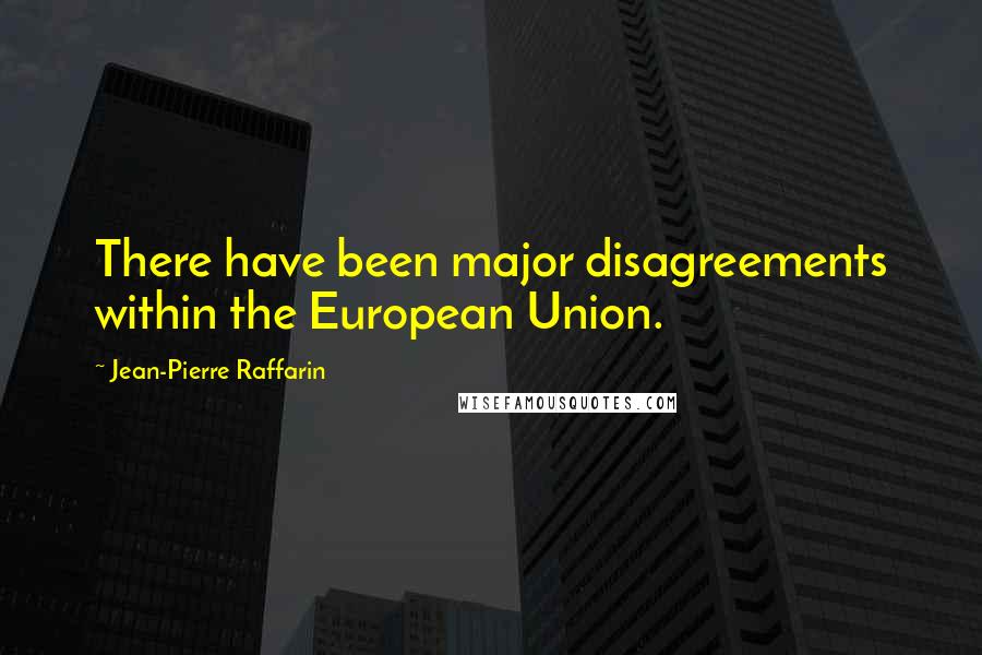 Jean-Pierre Raffarin Quotes: There have been major disagreements within the European Union.