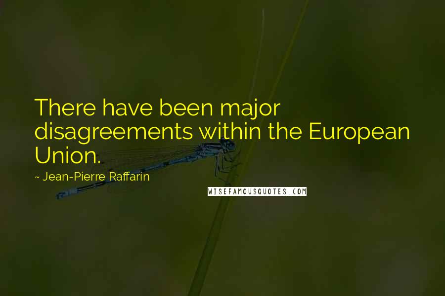 Jean-Pierre Raffarin Quotes: There have been major disagreements within the European Union.