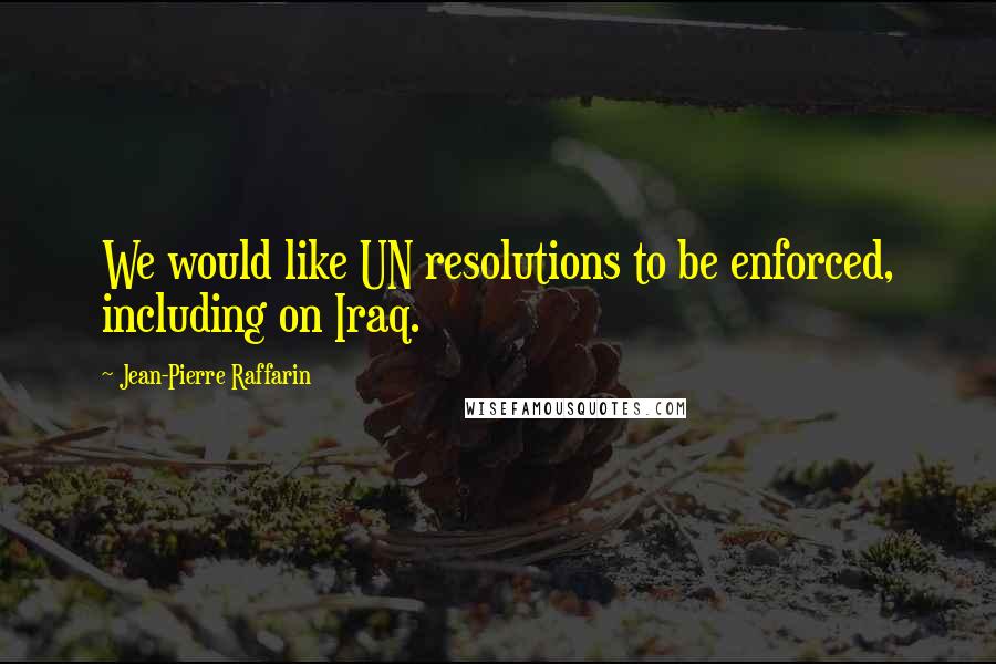 Jean-Pierre Raffarin Quotes: We would like UN resolutions to be enforced, including on Iraq.