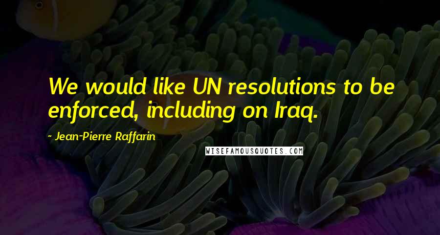 Jean-Pierre Raffarin Quotes: We would like UN resolutions to be enforced, including on Iraq.