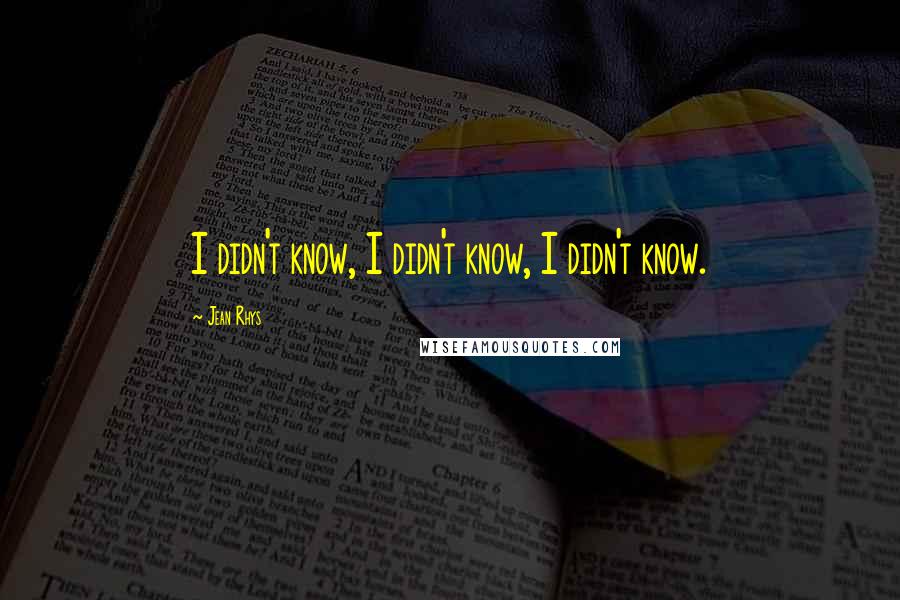Jean Rhys Quotes: I didn't know, I didn't know, I didn't know.