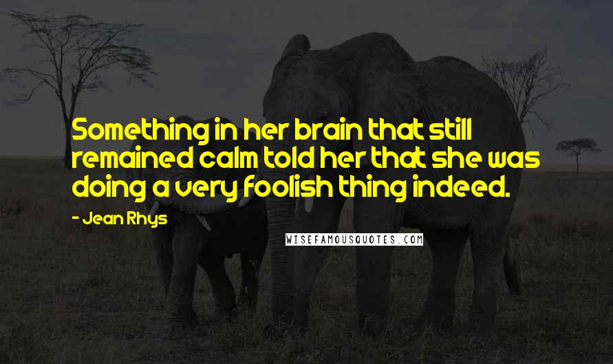 Jean Rhys Quotes: Something in her brain that still remained calm told her that she was doing a very foolish thing indeed.