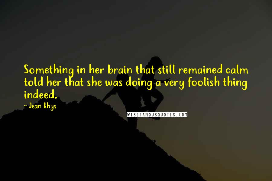 Jean Rhys Quotes: Something in her brain that still remained calm told her that she was doing a very foolish thing indeed.