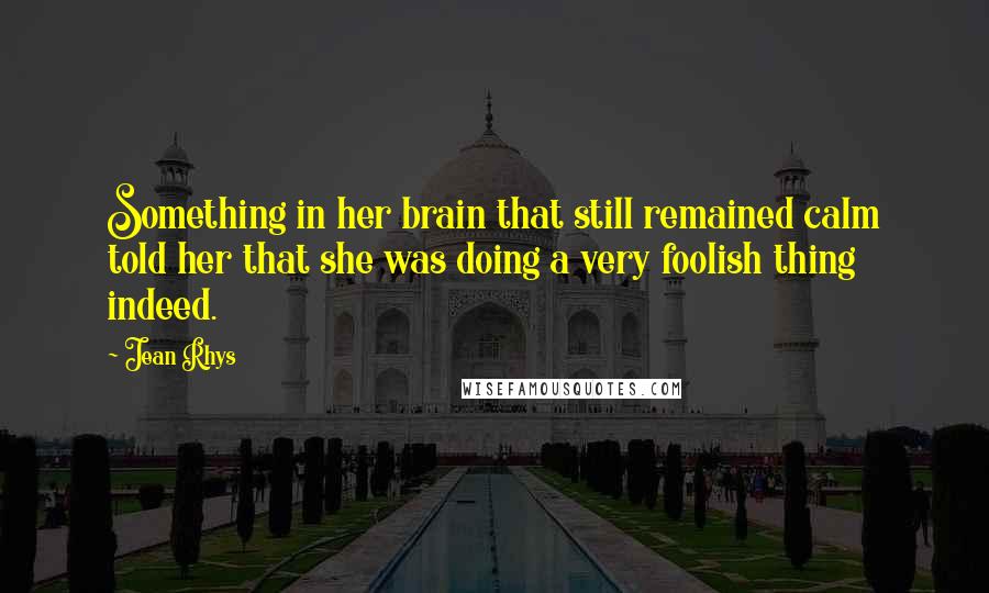 Jean Rhys Quotes: Something in her brain that still remained calm told her that she was doing a very foolish thing indeed.