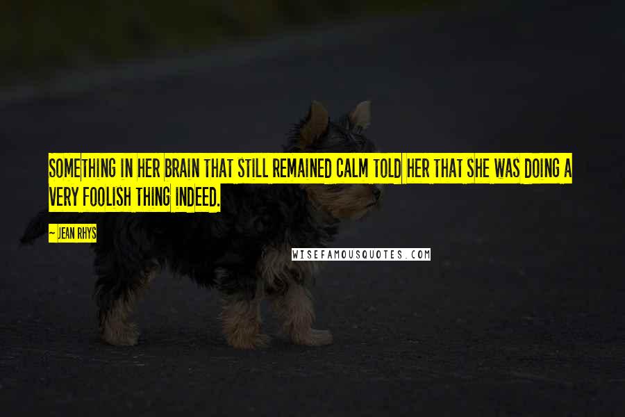 Jean Rhys Quotes: Something in her brain that still remained calm told her that she was doing a very foolish thing indeed.