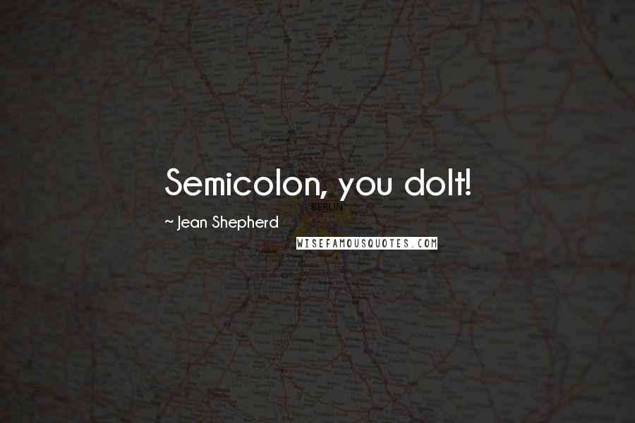 Jean Shepherd Quotes: Semicolon, you dolt!