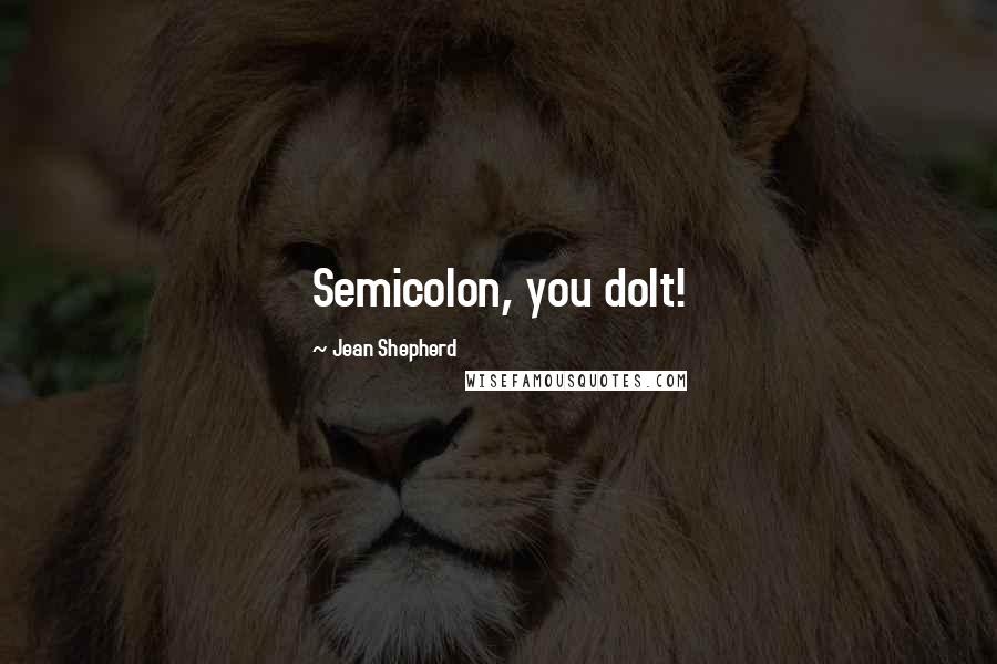 Jean Shepherd Quotes: Semicolon, you dolt!