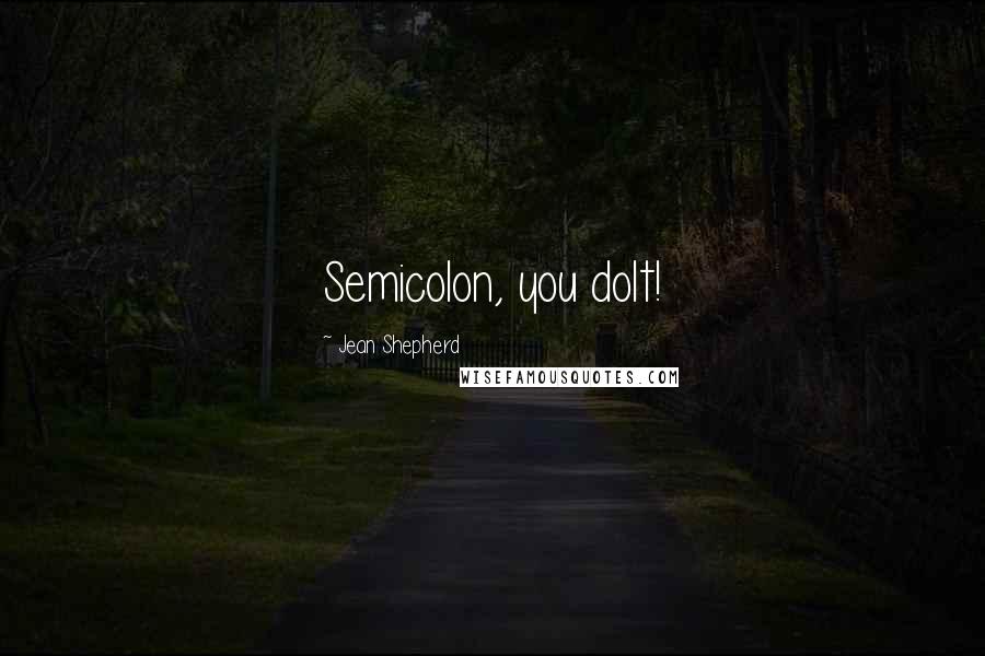 Jean Shepherd Quotes: Semicolon, you dolt!