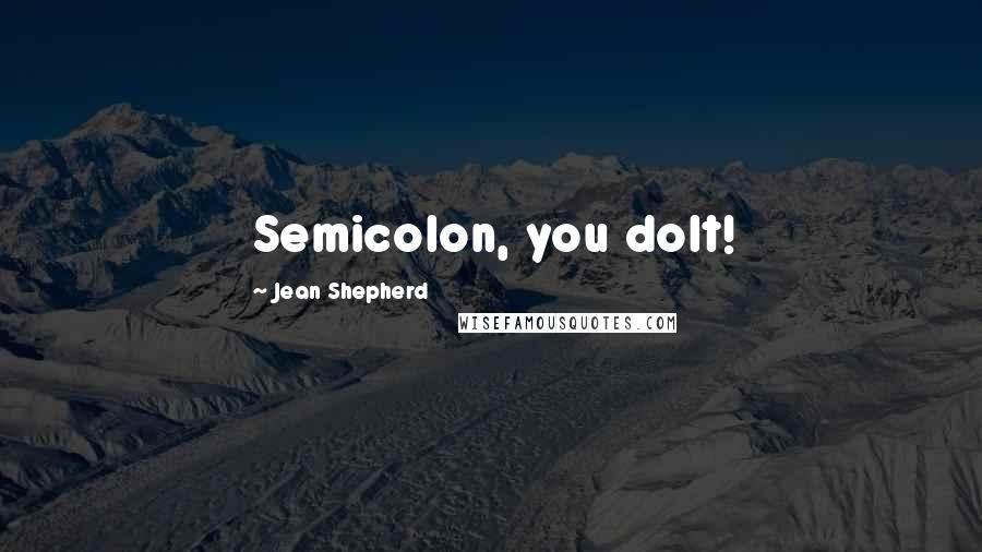 Jean Shepherd Quotes: Semicolon, you dolt!