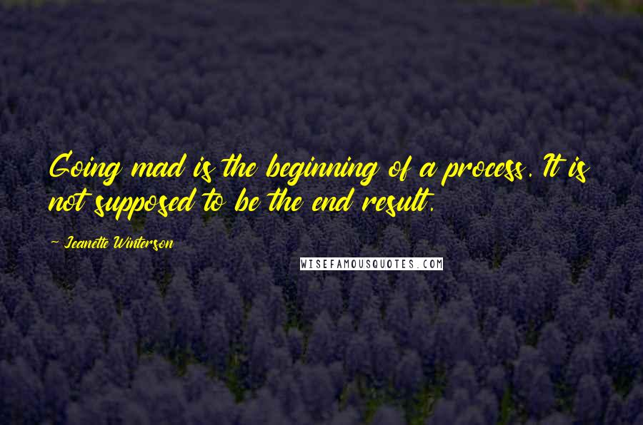 Jeanette Winterson Quotes: Going mad is the beginning of a process. It is not supposed to be the end result.