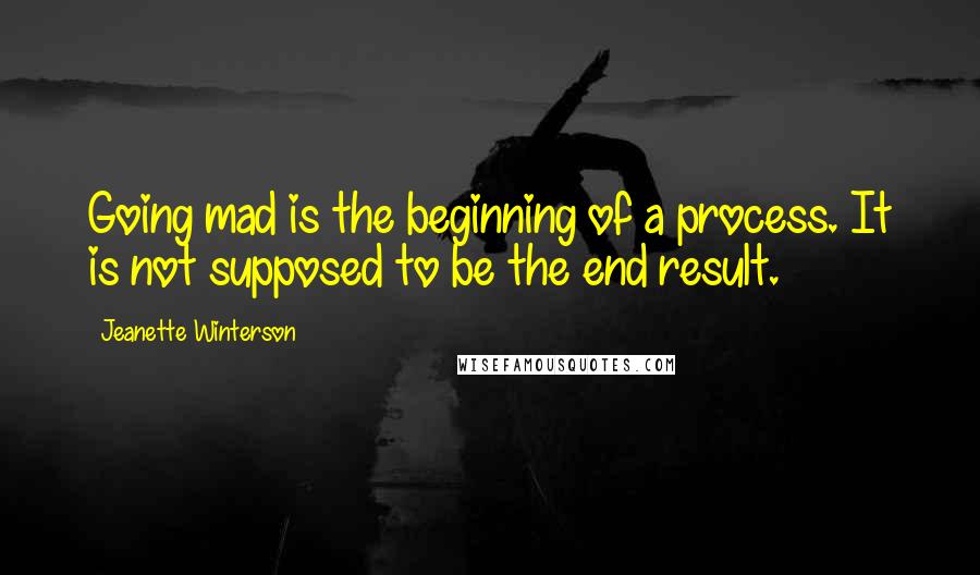 Jeanette Winterson Quotes: Going mad is the beginning of a process. It is not supposed to be the end result.