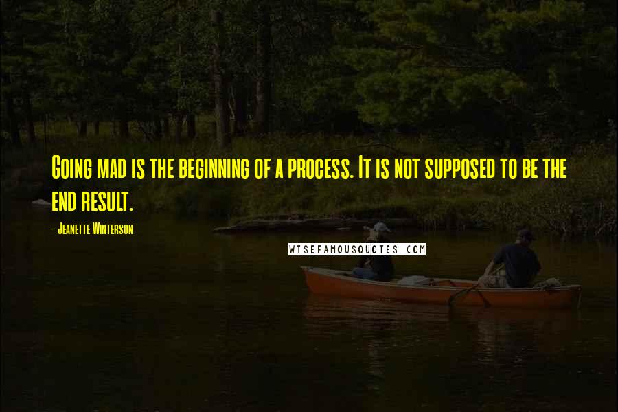 Jeanette Winterson Quotes: Going mad is the beginning of a process. It is not supposed to be the end result.