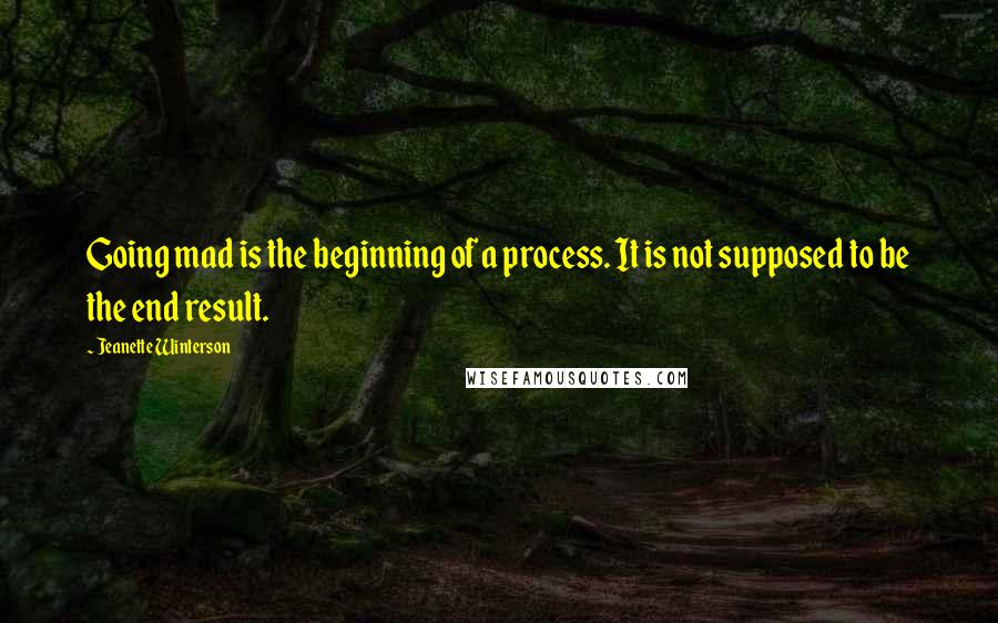 Jeanette Winterson Quotes: Going mad is the beginning of a process. It is not supposed to be the end result.