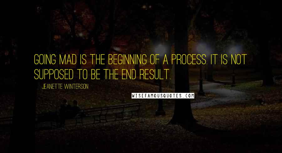 Jeanette Winterson Quotes: Going mad is the beginning of a process. It is not supposed to be the end result.