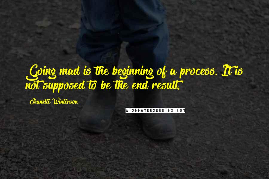 Jeanette Winterson Quotes: Going mad is the beginning of a process. It is not supposed to be the end result.
