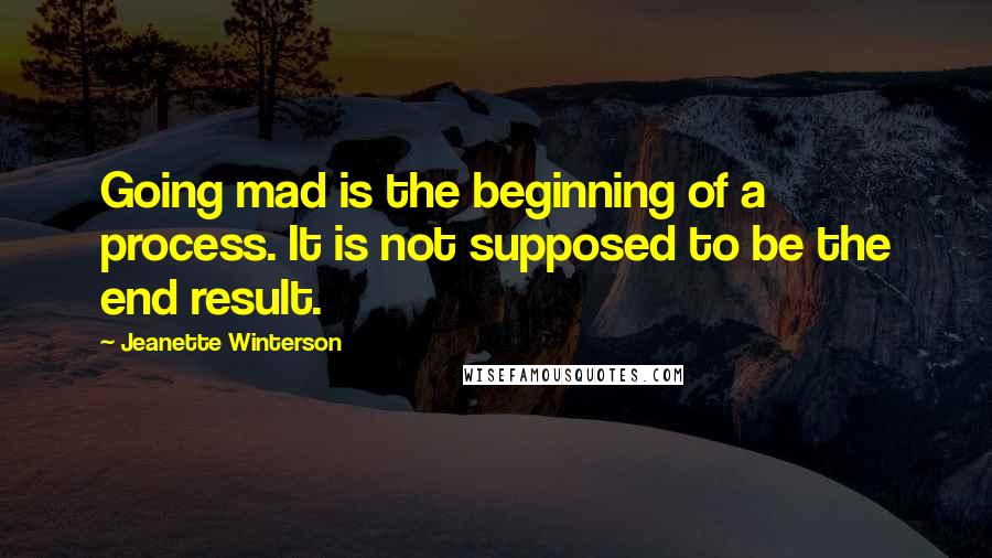 Jeanette Winterson Quotes: Going mad is the beginning of a process. It is not supposed to be the end result.