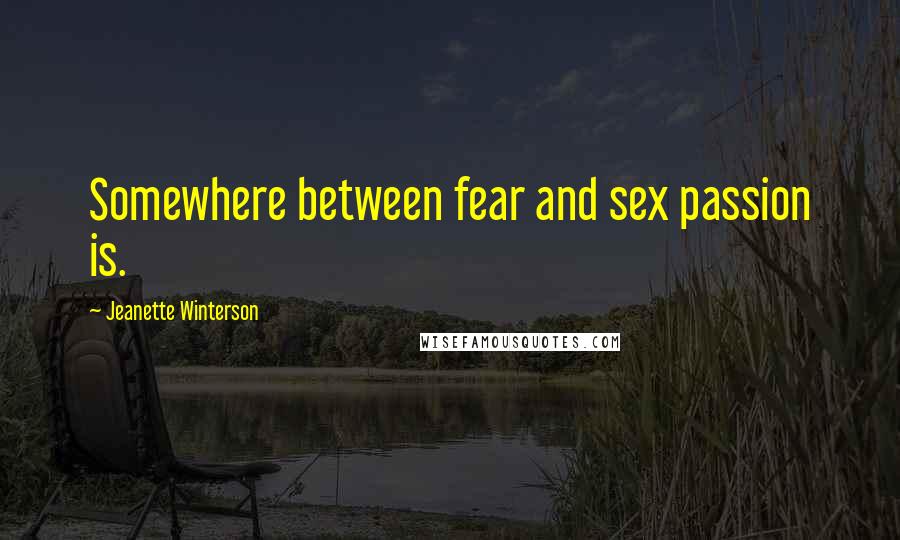 Jeanette Winterson Quotes: Somewhere between fear and sex passion is.