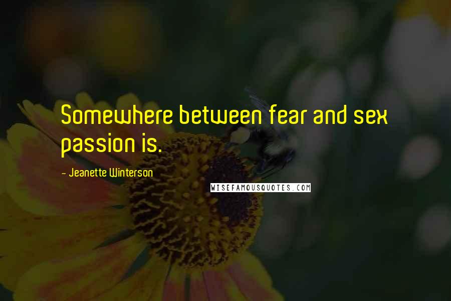 Jeanette Winterson Quotes: Somewhere between fear and sex passion is.