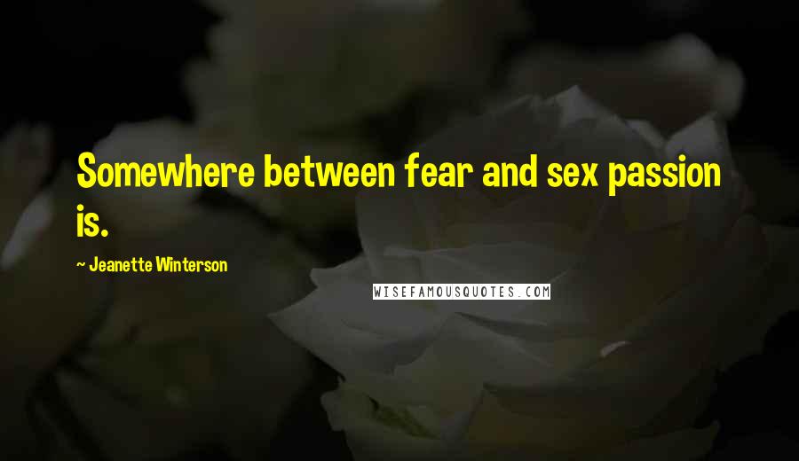 Jeanette Winterson Quotes: Somewhere between fear and sex passion is.