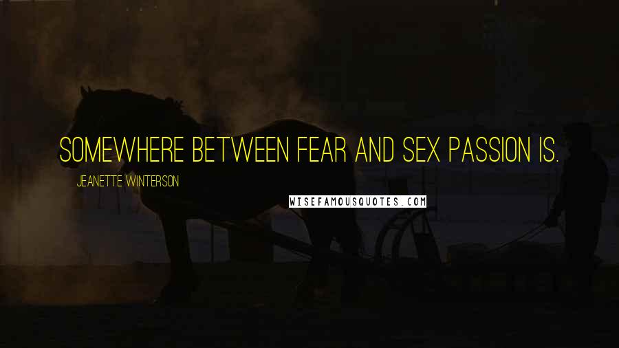 Jeanette Winterson Quotes: Somewhere between fear and sex passion is.