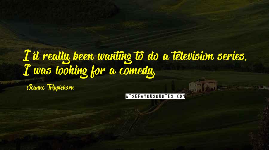 Jeanne Tripplehorn Quotes: I'd really been wanting to do a television series. I was looking for a comedy.